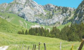 Alpenweide La Charmette